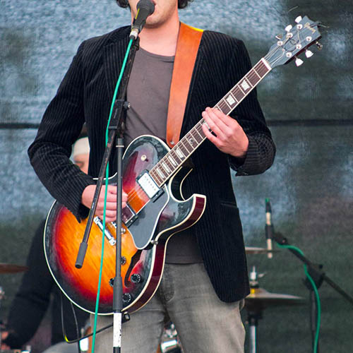 Fotografie #6 z Rock iN Roll 2012 od David „Lupodav“ Lupoměský