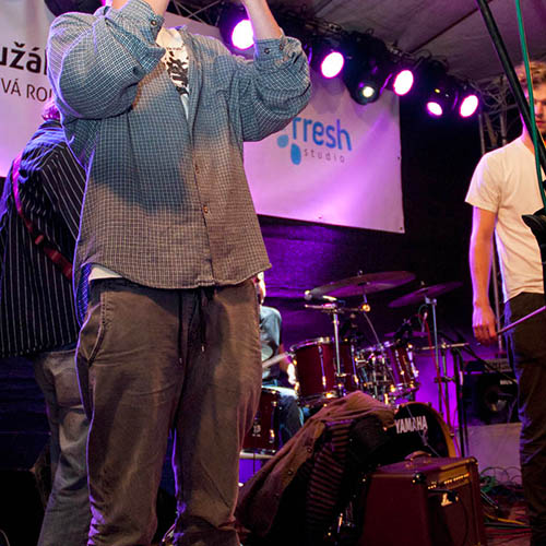 Fotografie #16 z Rock iN Roll 2012 od David „Lupodav“ Lupoměský